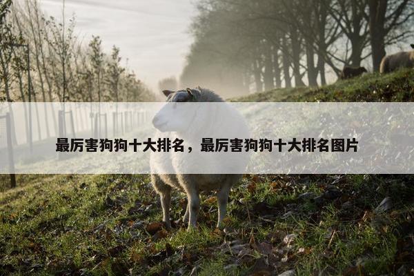 最厉害狗狗十大排名，最厉害狗狗十大排名图片