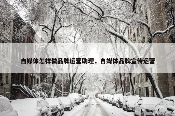 自媒体怎样做品牌运营助理，自媒体品牌宣传运营