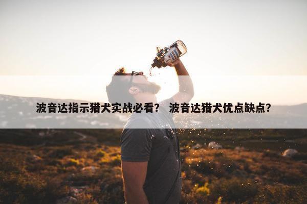 波音达指示猎犬实战必看？ 波音达猎犬优点缺点？