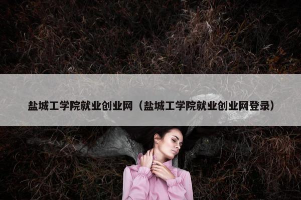 盐城工学院就业创业网（盐城工学院就业创业网登录）