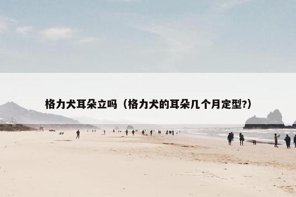 格力犬耳朵立吗（格力犬的耳朵几个月定型?）