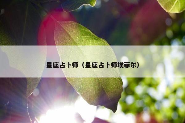 星座占卜师（星座占卜师埃菲尔）