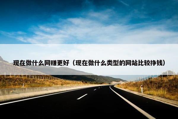 现在做什么网赚更好（现在做什么类型的网站比较挣钱）