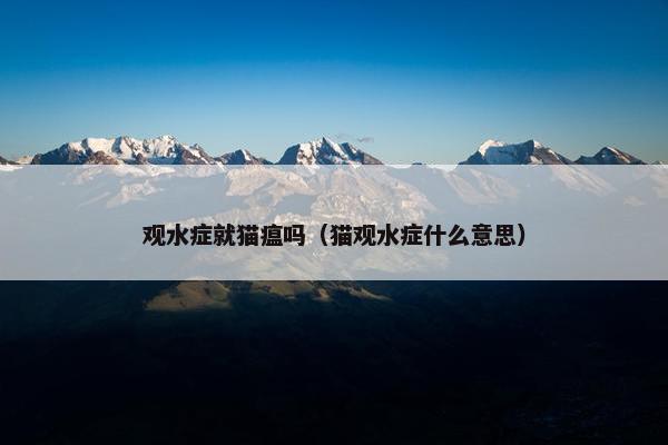 观水症就猫瘟吗（猫观水症什么意思）