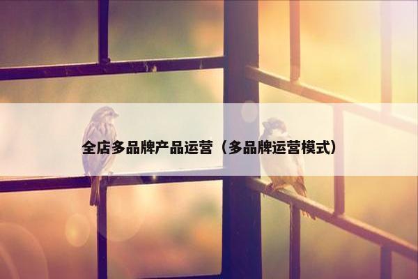 全店多品牌产品运营（多品牌运营模式）