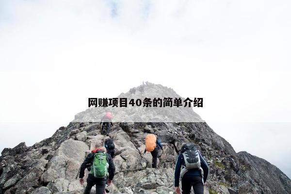 网赚项目40条的简单介绍