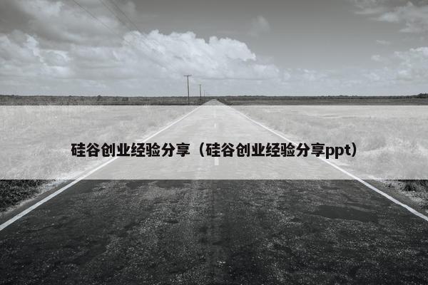 硅谷创业经验分享（硅谷创业经验分享ppt）