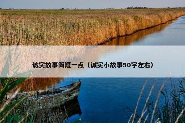 诚实故事简短一点（诚实小故事50字左右）