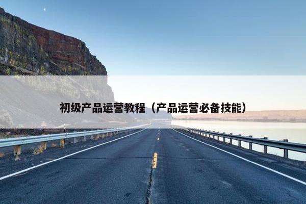 初级产品运营教程（产品运营必备技能）