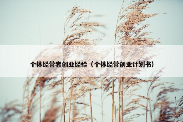 个体经营者创业经验（个体经营创业计划书）