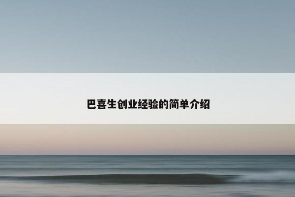 巴喜生创业经验的简单介绍