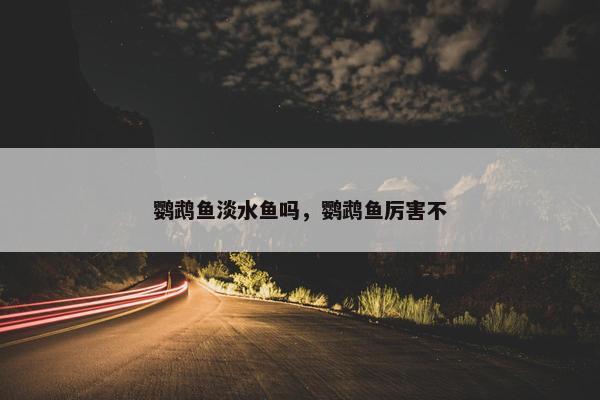 鹦鹉鱼淡水鱼吗，鹦鹉鱼厉害不