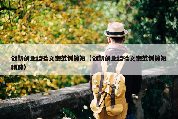 创新创业经验文案范例简短（创新创业经验文案范例简短精辟）