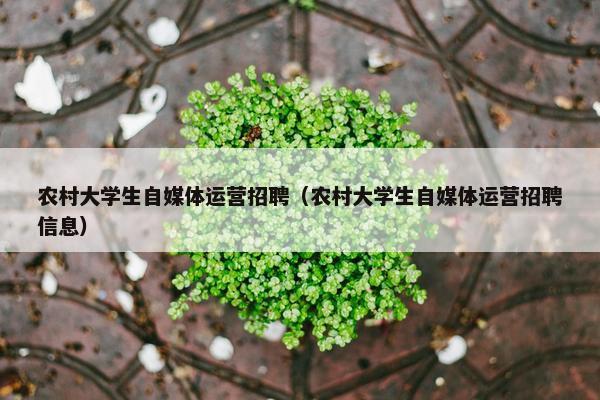 农村大学生自媒体运营招聘（农村大学生自媒体运营招聘信息）
