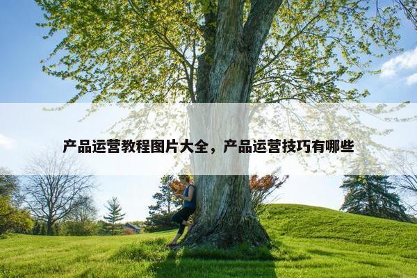 产品运营教程图片大全，产品运营技巧有哪些
