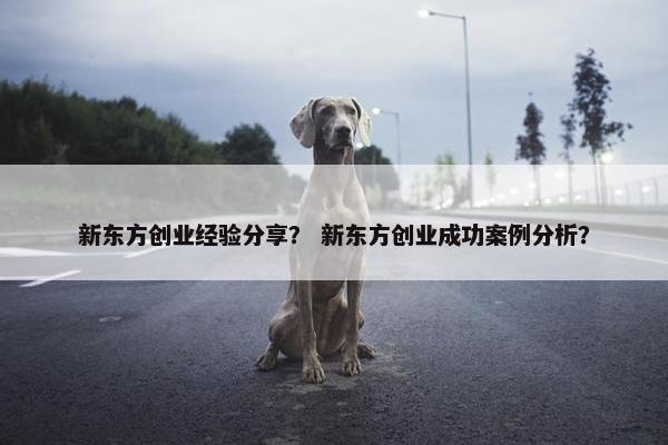 新东方创业经验分享？ 新东方创业成功案例分析？