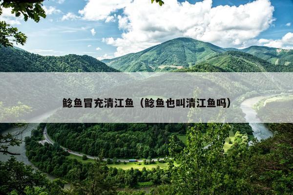 鲶鱼冒充清江鱼（鲶鱼也叫清江鱼吗）
