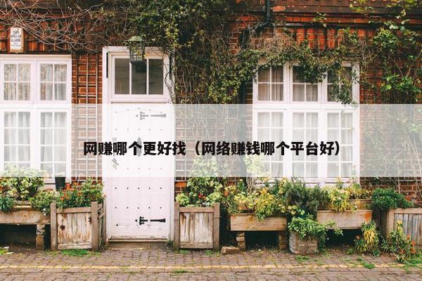 网赚哪个更好找（网络赚钱哪个平台好）