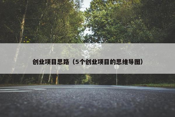 创业项目思路（5个创业项目的思维导图）