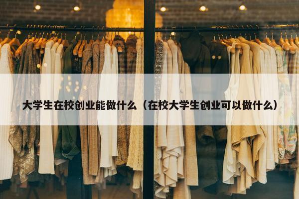大学生在校创业能做什么（在校大学生创业可以做什么）