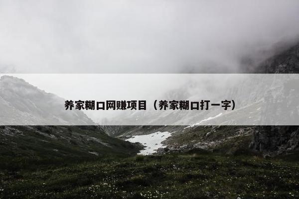 养家糊口网赚项目（养家糊口打一字）