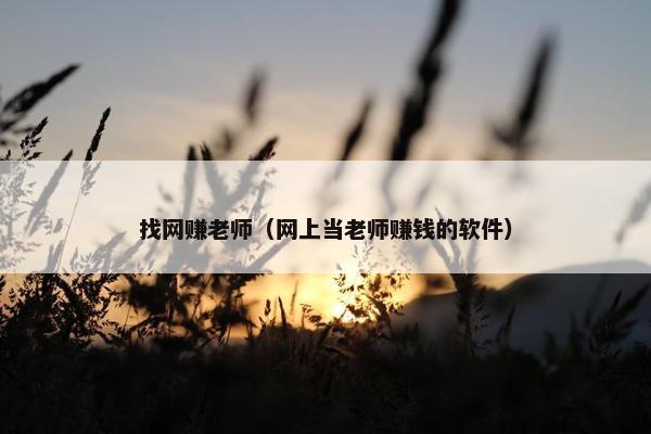 找网赚老师（网上当老师赚钱的软件）