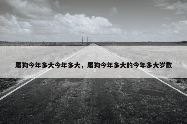 属狗今年多大今年多大，属狗今年多大的今年多大岁数