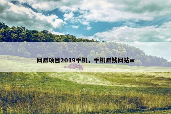 网赚项目2019手机，手机赚钱网站w
