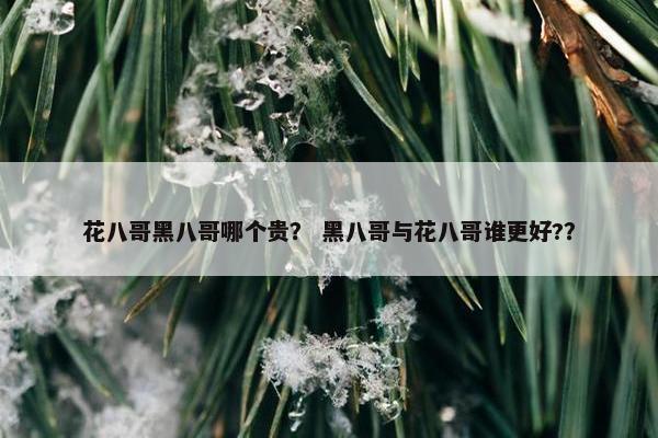 花八哥黑八哥哪个贵？ 黑八哥与花八哥谁更好?？