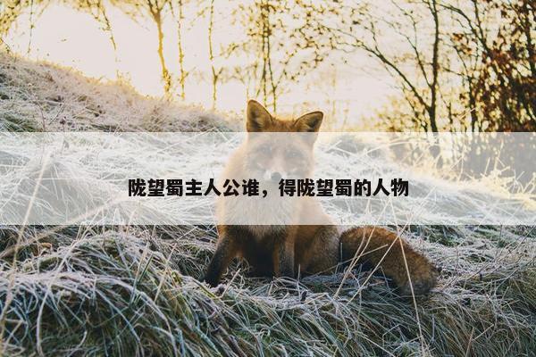 陇望蜀主人公谁，得陇望蜀的人物