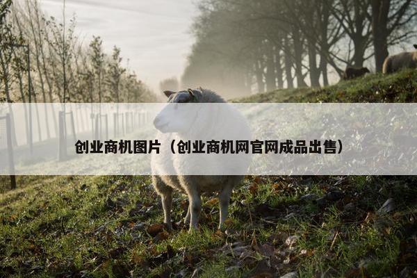 创业商机图片（创业商机网官网成品出售）