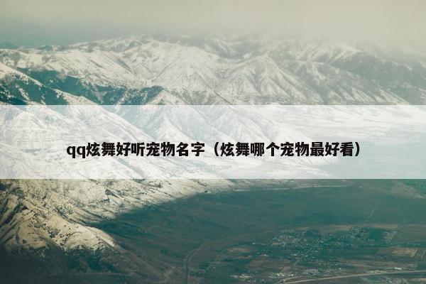 qq炫舞好听宠物名字（炫舞哪个宠物最好看）