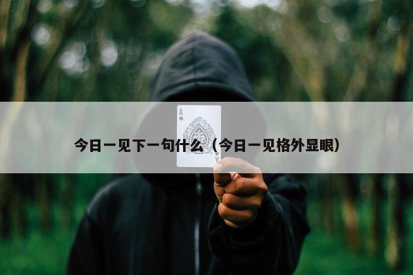 今日一见下一句什么（今日一见格外显眼）