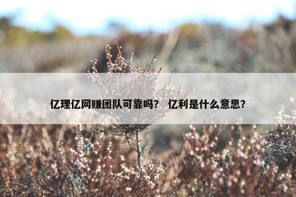亿理亿网赚团队可靠吗？ 亿利是什么意思？