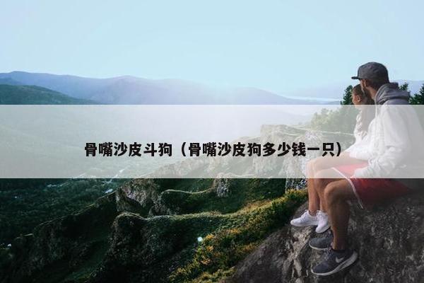 骨嘴沙皮斗狗（骨嘴沙皮狗多少钱一只）