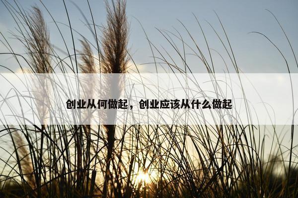 创业从何做起，创业应该从什么做起