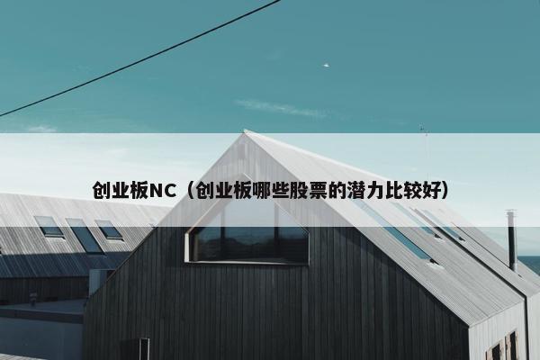 创业板NC（创业板哪些股票的潜力比较好）