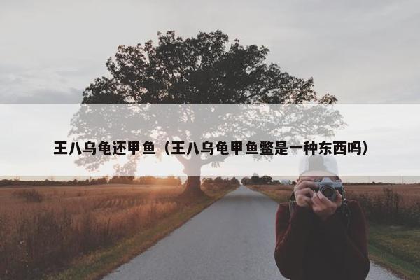 王八乌龟还甲鱼（王八乌龟甲鱼鳖是一种东西吗）