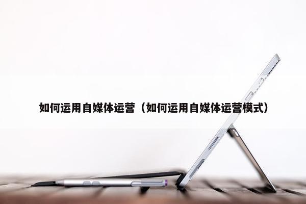 如何运用自媒体运营（如何运用自媒体运营模式）