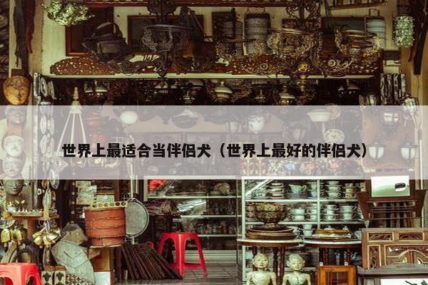 世界上最适合当伴侣犬（世界上最好的伴侣犬）