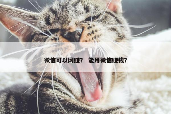 微信可以网赚？ 能用微信赚钱？