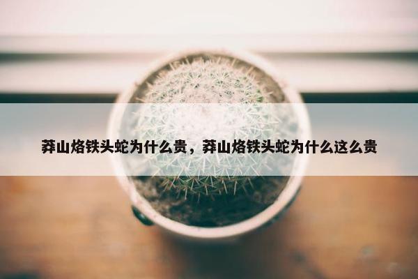 莽山烙铁头蛇为什么贵，莽山烙铁头蛇为什么这么贵