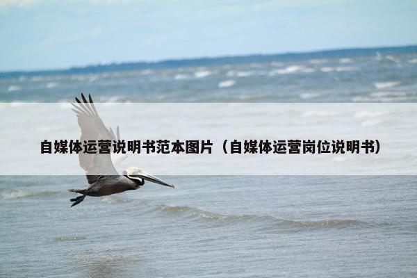 自媒体运营说明书范本图片（自媒体运营岗位说明书）