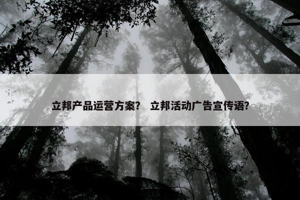 立邦产品运营方案？ 立邦活动广告宣传语？