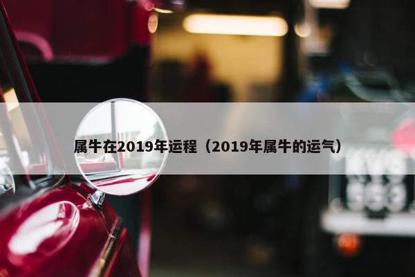 属牛在2019年运程（2019年属牛的运气）