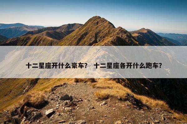 十二星座开什么豪车？ 十二星座各开什么跑车？