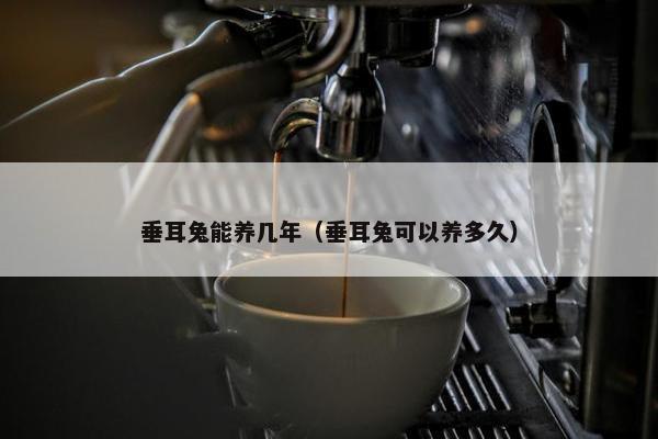 垂耳兔能养几年（垂耳兔可以养多久）