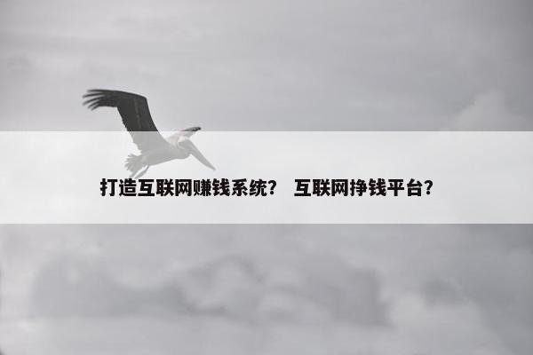 打造互联网赚钱系统？ 互联网挣钱平台？