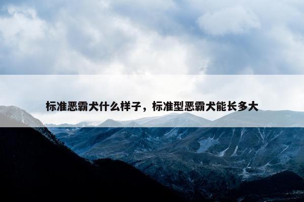 标准恶霸犬什么样子，标准型恶霸犬能长多大