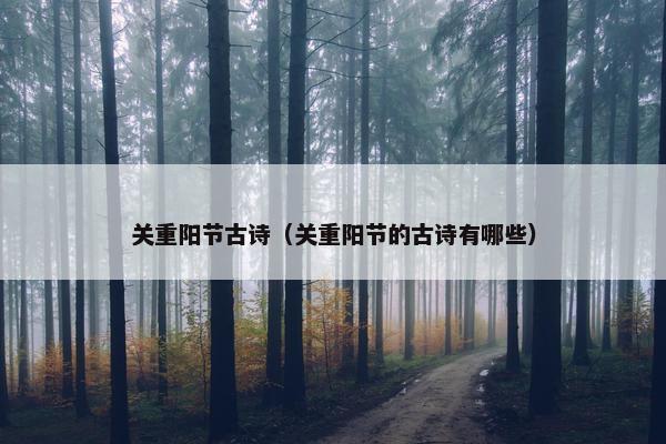 关重阳节古诗（关重阳节的古诗有哪些）